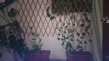 Hostel Zorbas *